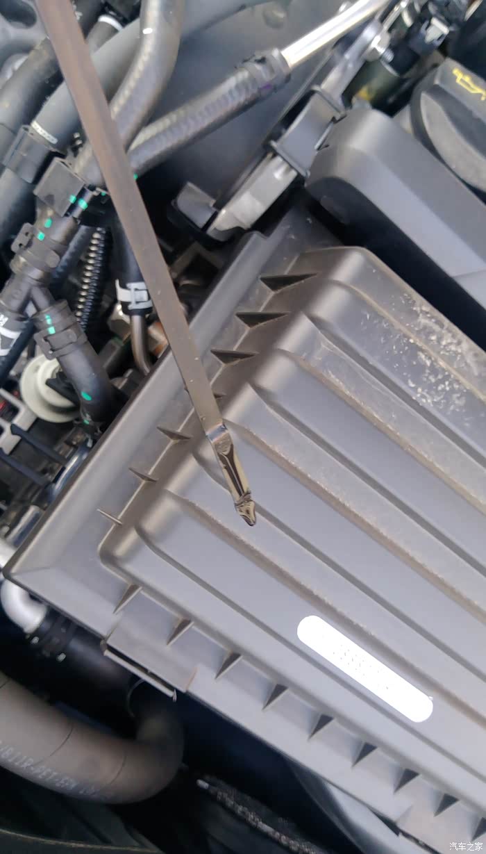 【图】看看机油尺,懂的说说_奥迪a3论坛_汽车之家论坛