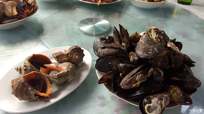 自驾游大连庄河海王九岛-看红海滩,观海上日出-cs35哈尔滨车友会