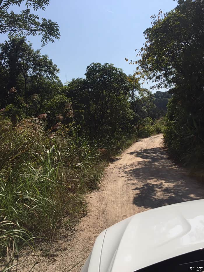 这个约30度右的坡吧,按下4wd锁止~~go!冇问题