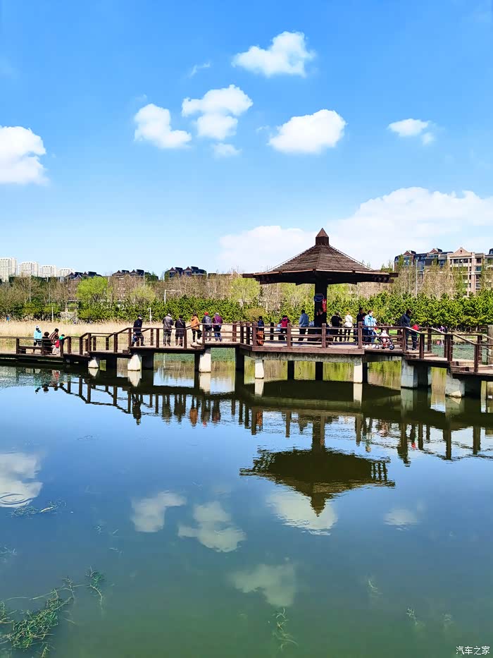 【迎暖春送积分】别辜负了春光——大连前关湿地公园一日游