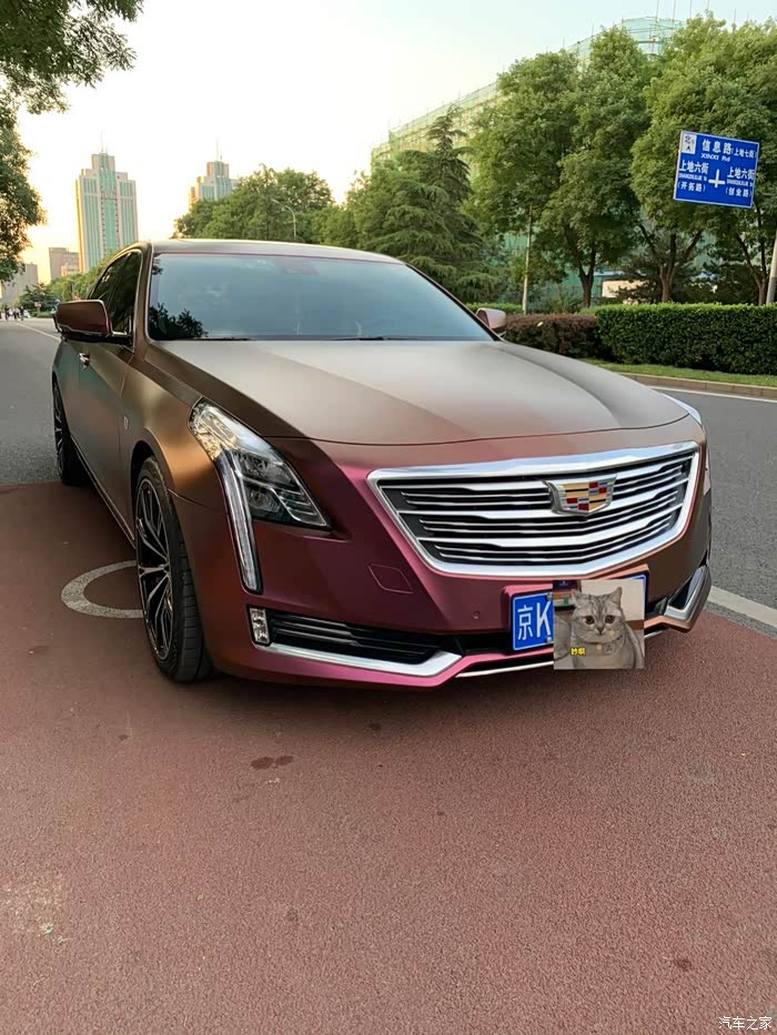 出去玩～夕阳下是金色