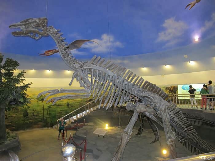 十月一全家伊春游记之一伊春博物馆