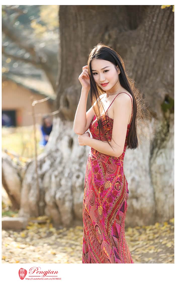 朋见行摄之随州千年银杏美女与古树倾情演绎