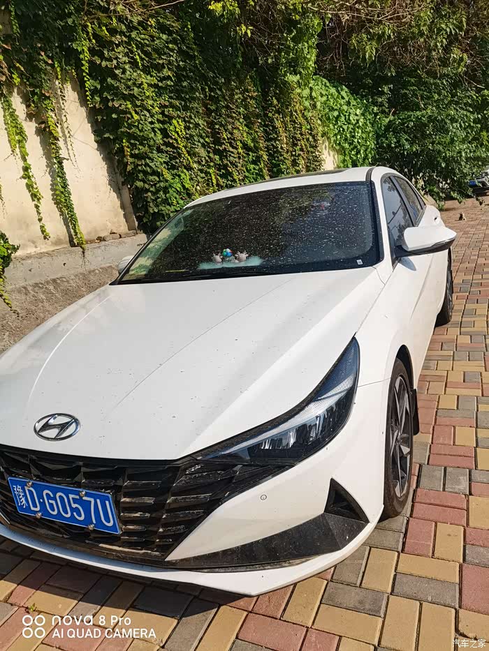 第七代伊兰特首保及bluelink使用体验