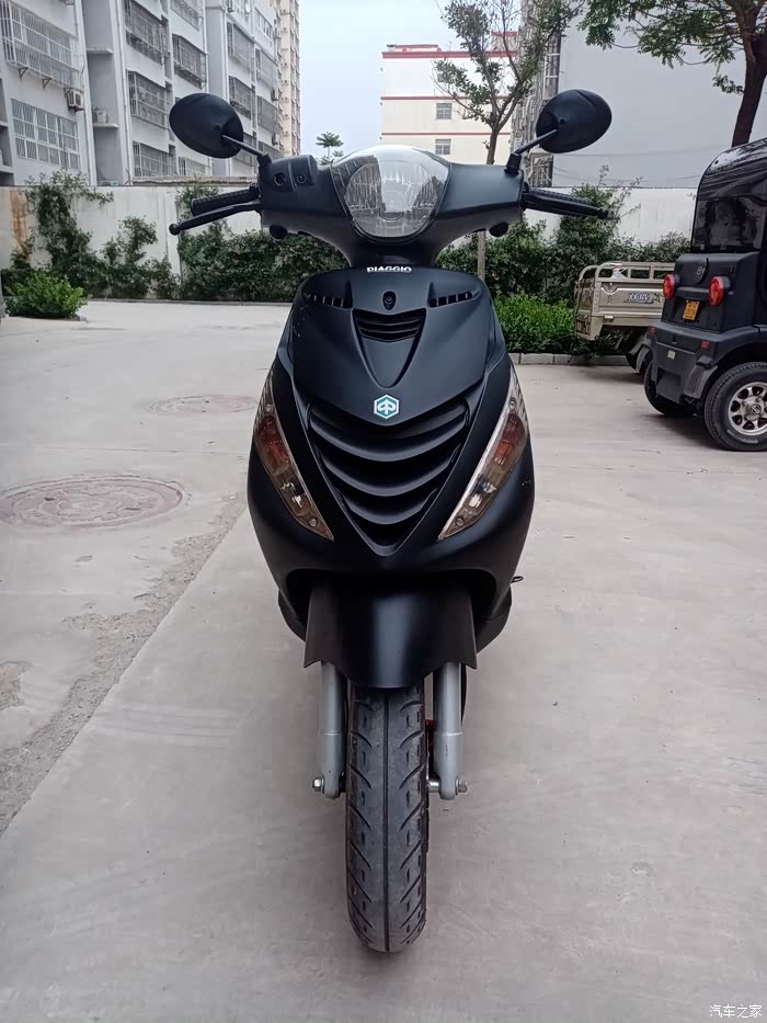 两年半的比亚乔淑女更换小耳朵