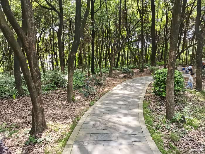 逸游狮子岭公园