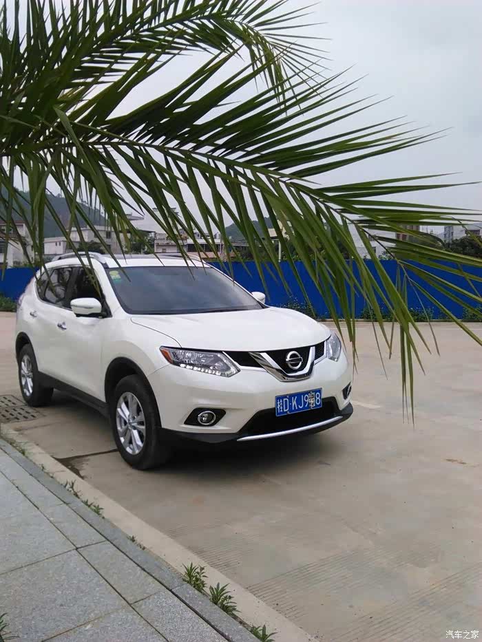 【图】【奇骏提车记】之【骏驰大地】_奇骏论坛_汽车之家论坛