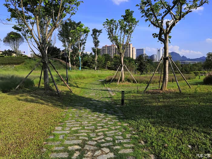 官塘湿地公园游玩t5evo带我驰骋