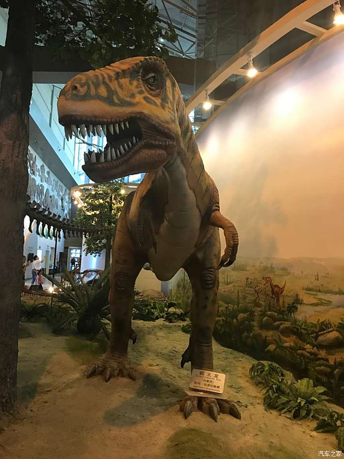 伊春恐龙博物馆图片
