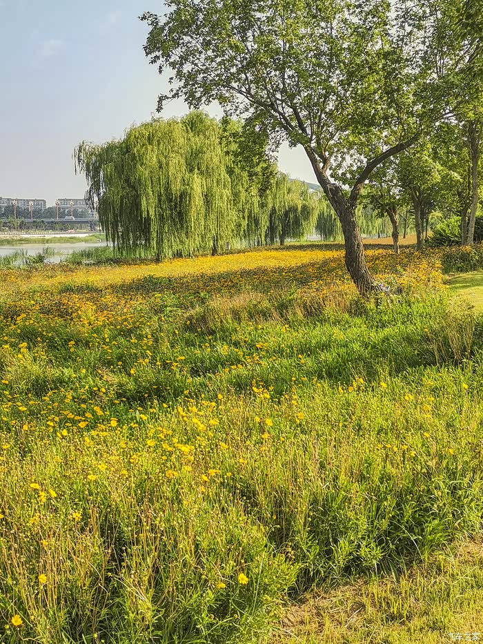 休闲寿光生态农业观光园