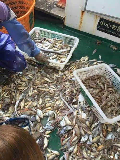 再也不想去舟山普陀山出海捕鱼收获虽然很大但是太晕