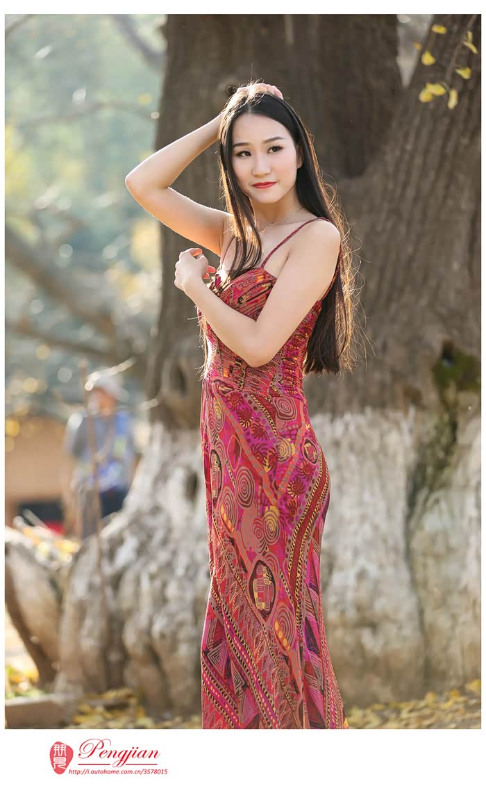 朋见行摄之随州千年银杏美女与古树倾情演绎