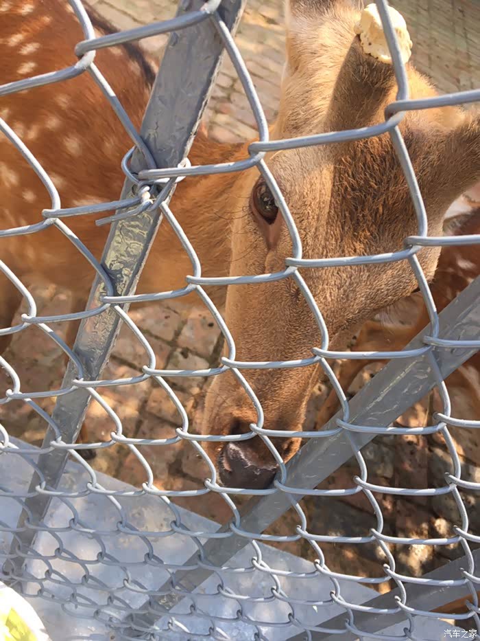 端午闲转咸阳渭滨公园动物园逛起