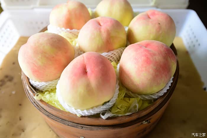 起亚南京车友自驾常州武进采摘水蜜桃游记