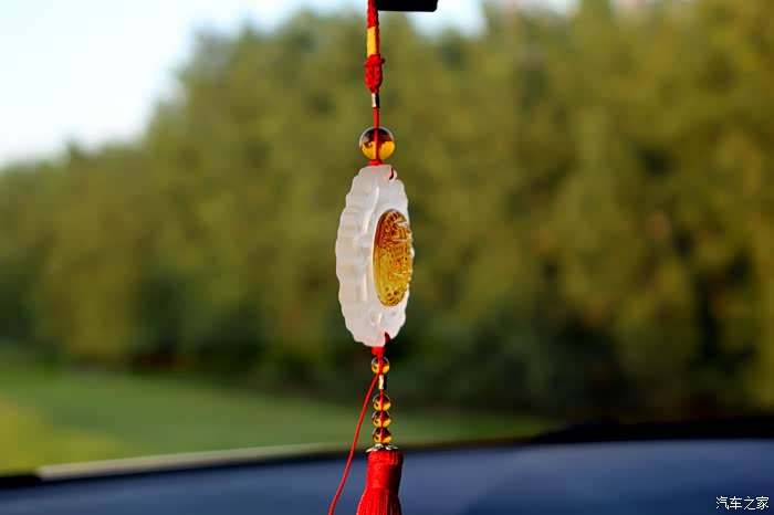 大步向前,携大白爱妻闪亮登场!