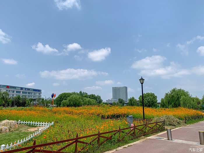 滨州秦皇河湿地公园图片