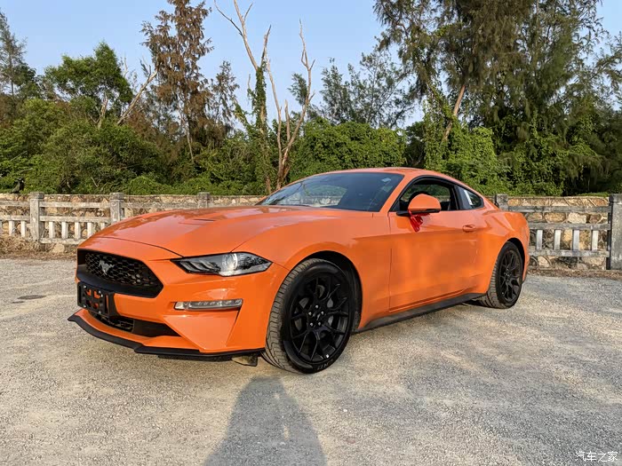 颠覆自我橙色革命深圳野马提车作业内附福利