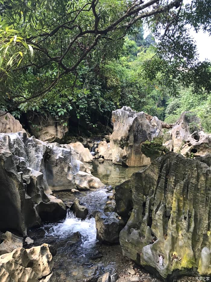 出发花鱼洞国家森林公园一家人与rx5亲近大自然