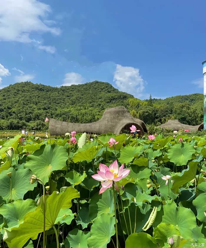 绿水青山就是金山银山,安吉余村一日游