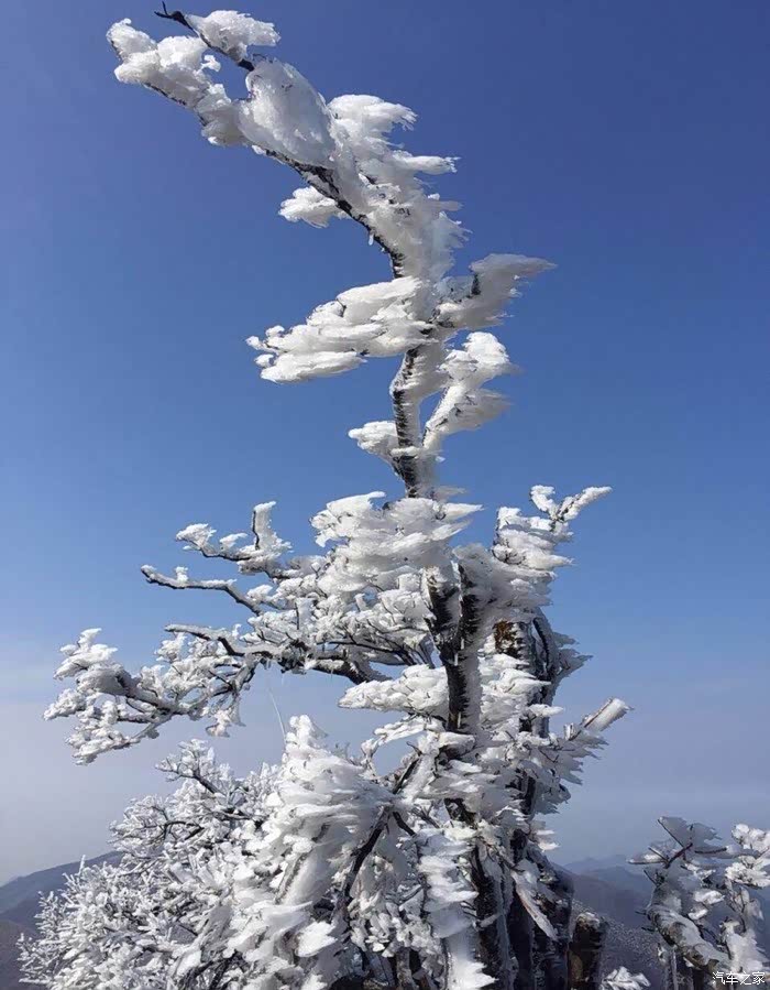 南方大熊山雾凇美如画