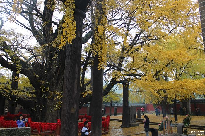 理財論壇拜山貼秋遊日照浮來山定林寺