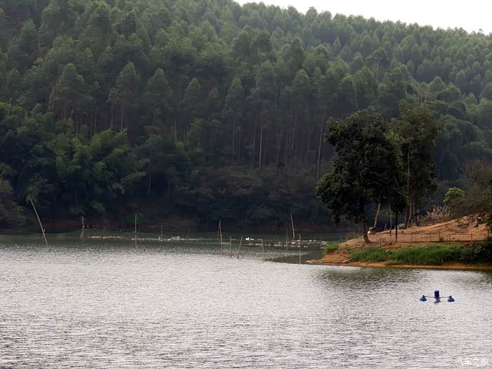 罗村水库,钓鱼,烧烤环境不错