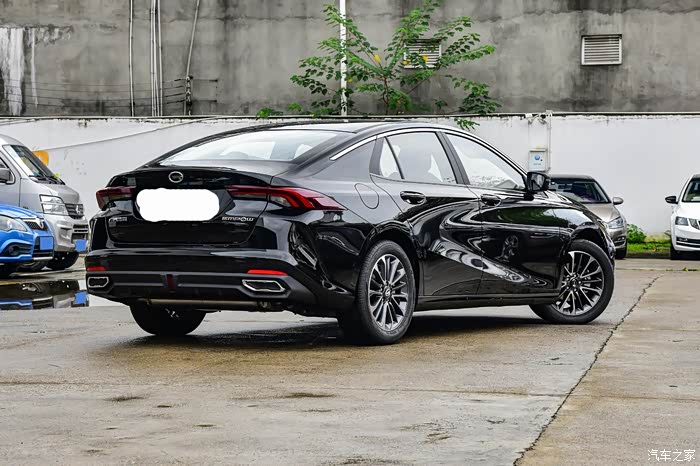 黑色的影豹就像保镖一样安全.