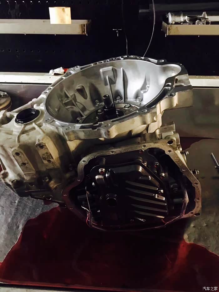 【图】我们的大白～_威驰论坛_汽车之家论坛