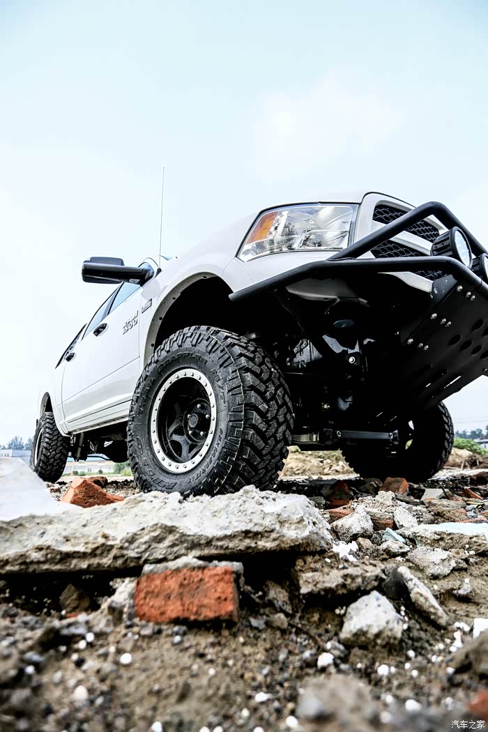 最霸气的公羊你见过吗速速围观