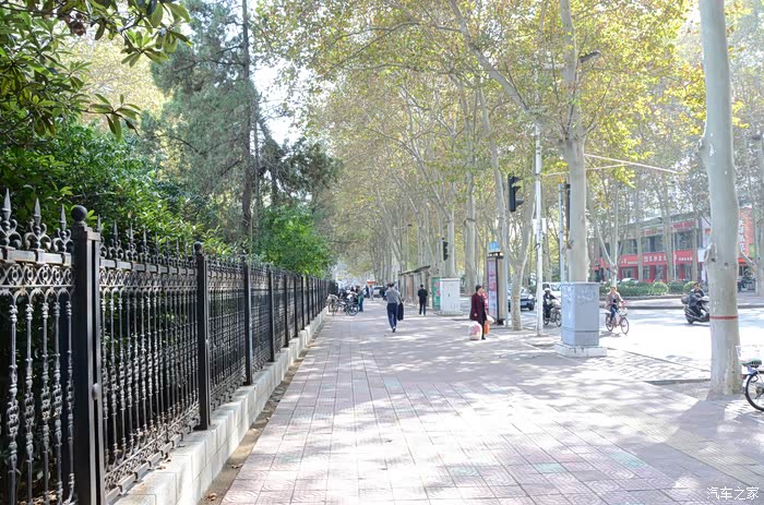西苑路上的法国梧桐叶已经老黄,来来往往的人们,都已换上了以深色调为