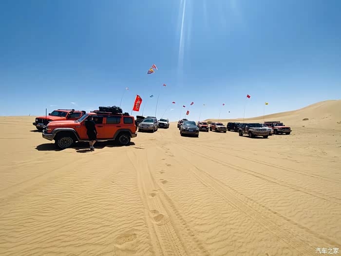 坦克车队再聚首进沙漠
