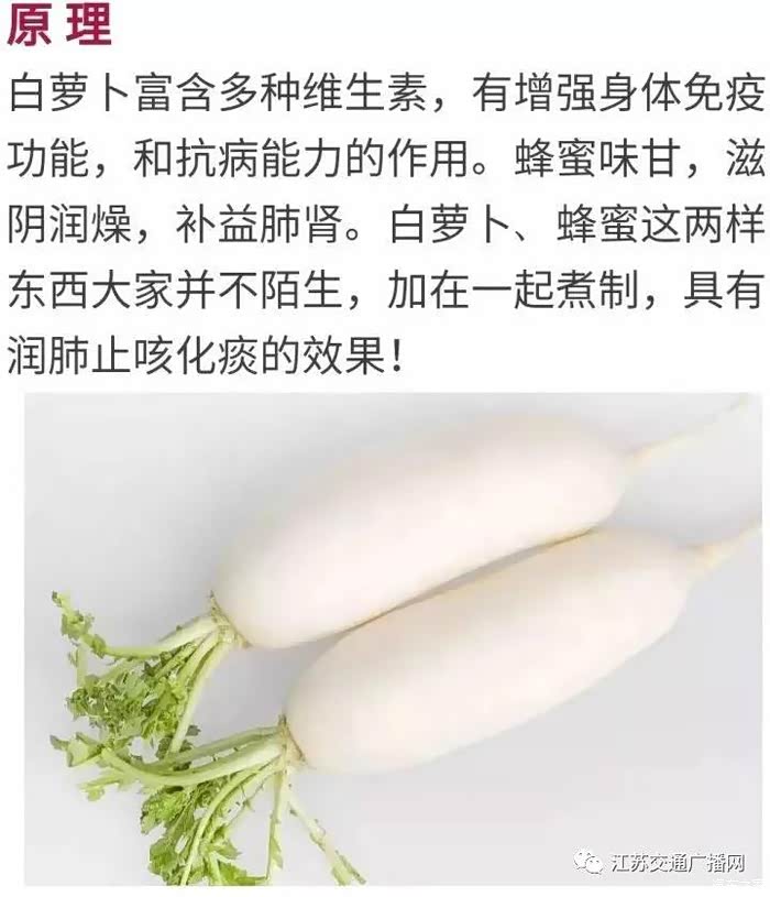 白萝卜的功效
