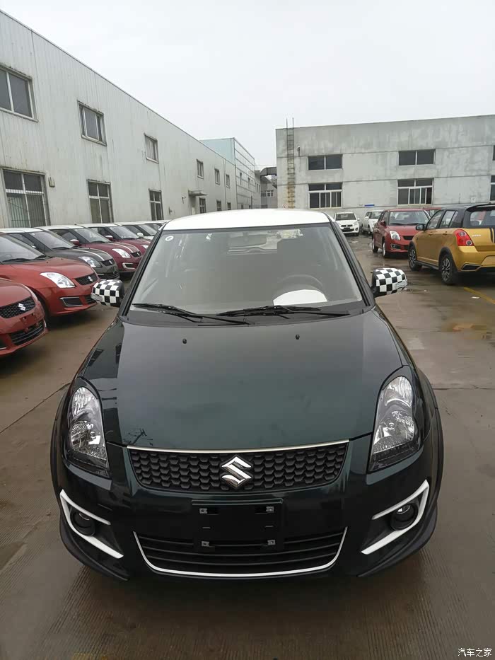 在苏州看到墨绿色雨燕了