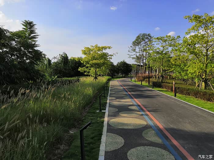 官塘湿地公园游玩t5evo带我驰骋