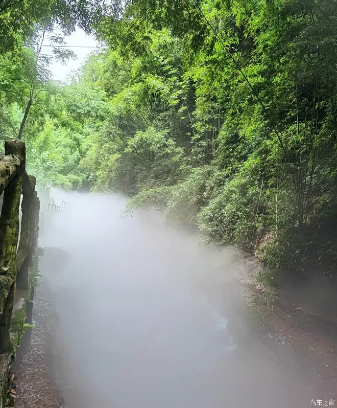 山上水汽氤氲,凉快多了.