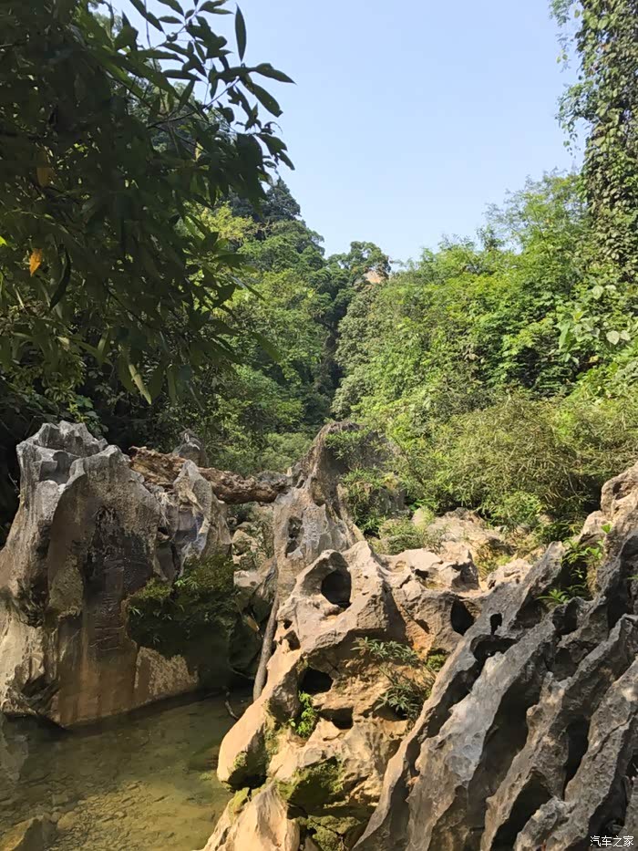 出发花鱼洞国家森林公园一家人与rx5亲近大自然