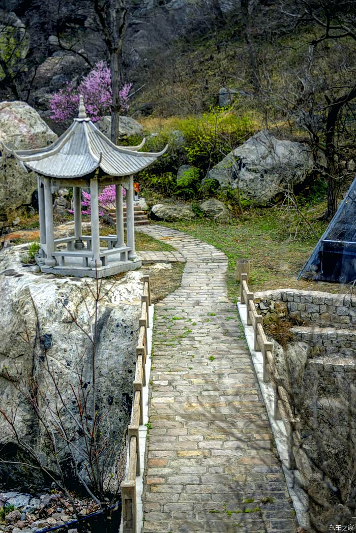 五大镇山之一沂山春来早