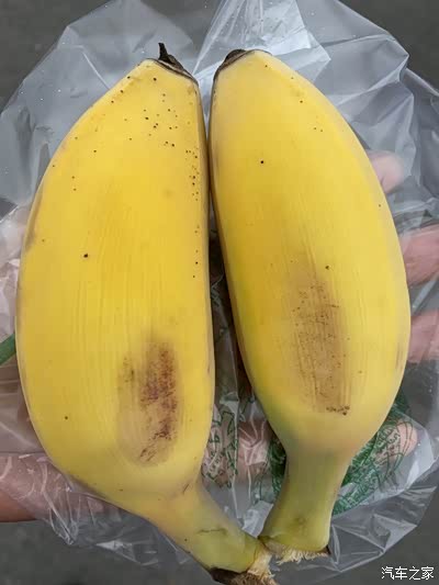 贵州的香蕉都是这种可爱的小短胖,应该就是小芭蕉吧,吃起来没两样