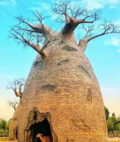 发现功能,换主题换壁纸设置能量回收