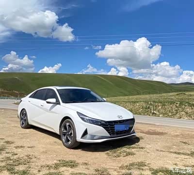 伊兰特,你选什么色?