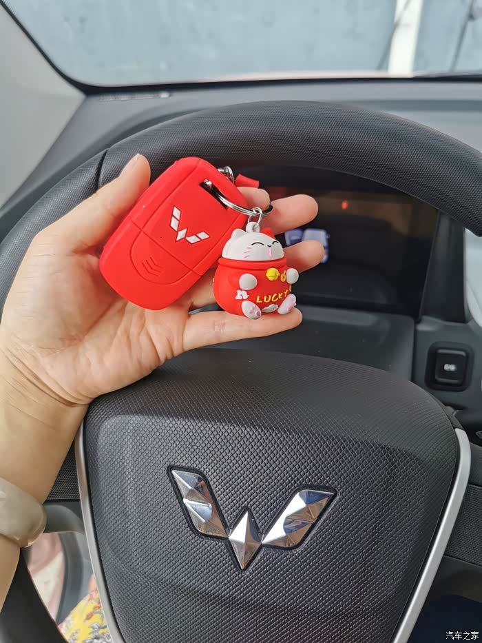 可可爱爱的车钥匙