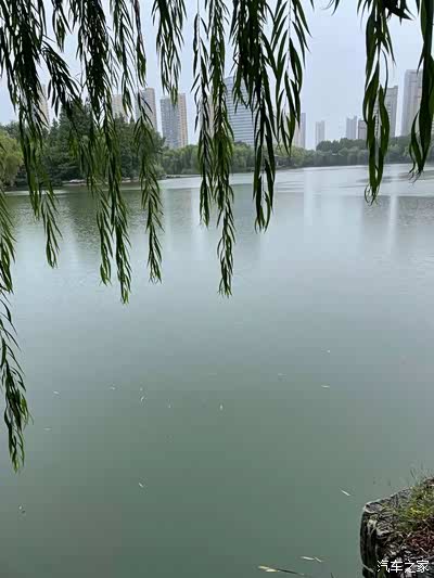 雨天心情感悟