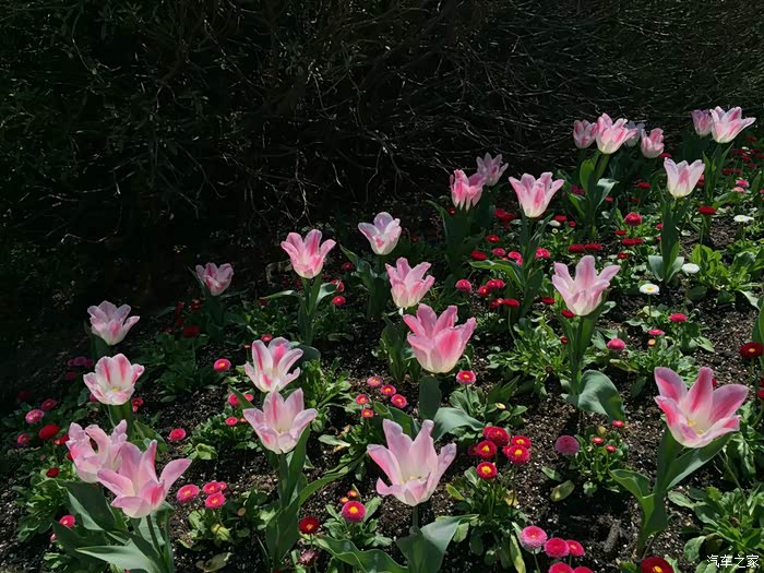 魅力韩国江原道