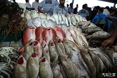 迪拜鱼市图片