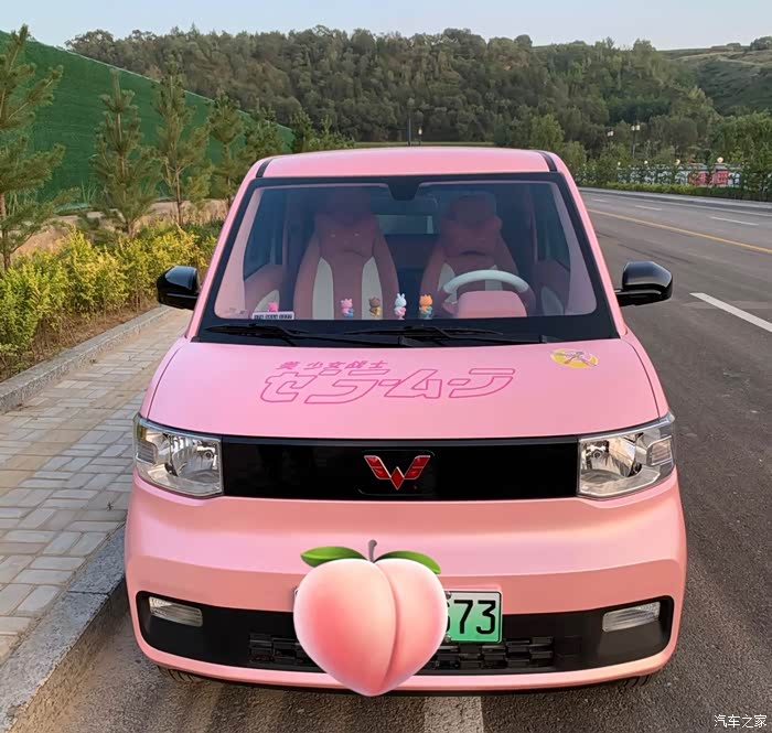 实现我的五菱宏光miniev梦啦