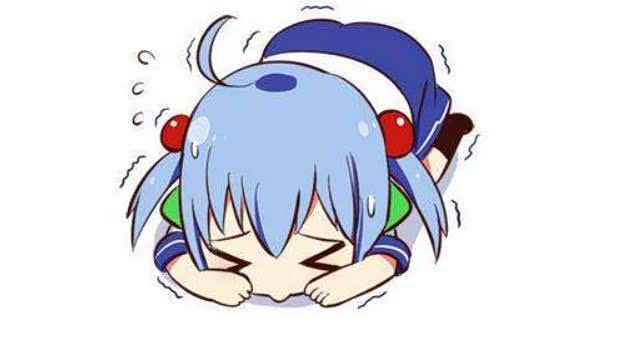 跪求!瑞风s7怎么在电脑上看?