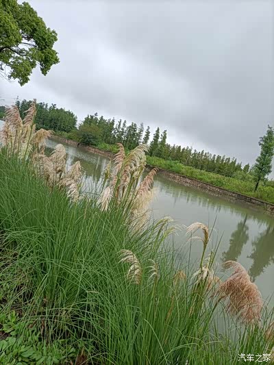 散步于夏驾河湿地公园