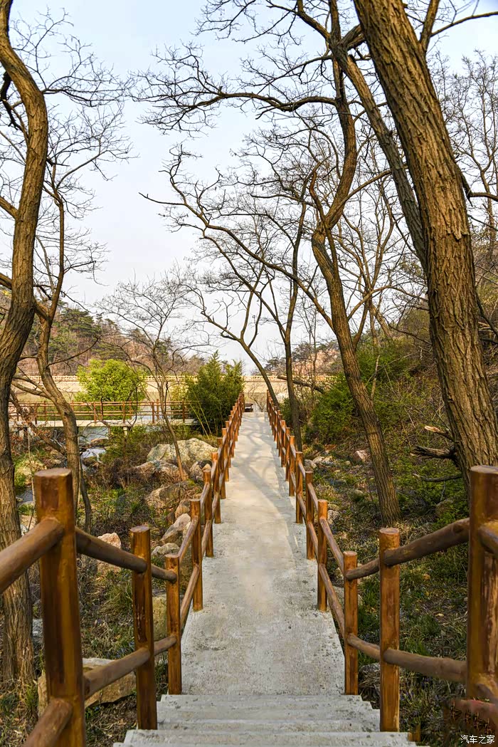 五大镇山之一沂山春来早