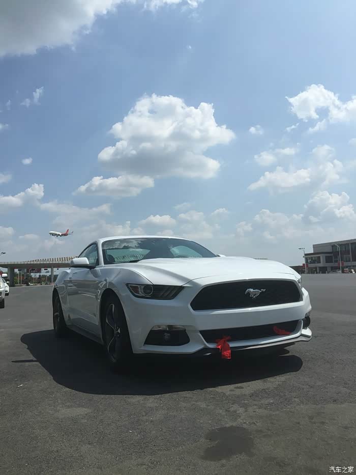 3t 白色野马 提车!野马脱缰】