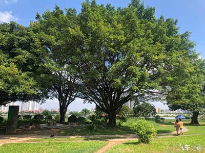 与55一起打卡石龙湿地公园